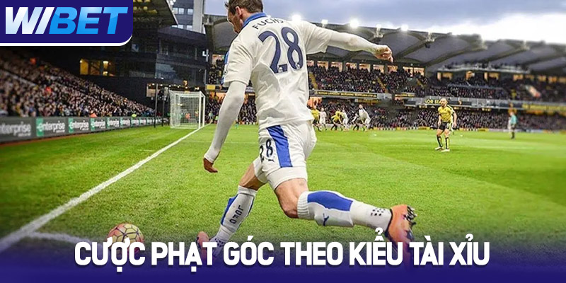 cuoc phat goc theo kieu tai