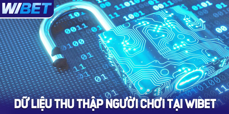 Những loại dữ liệu người chơi tại WIBET được thu thập