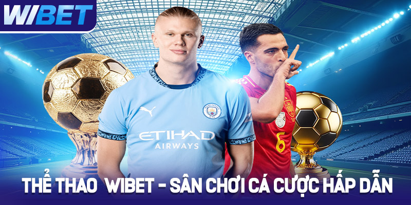 Tổng quan về nền tảng cá cược thể thao WIBET